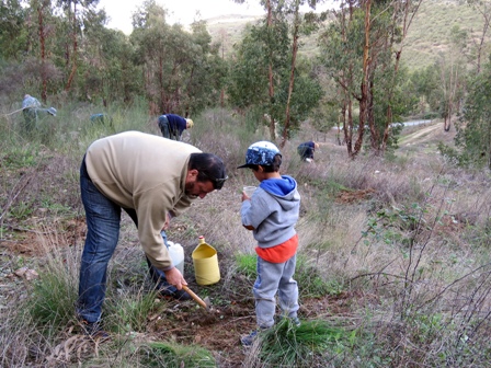 Plantação Floresta Autóctone